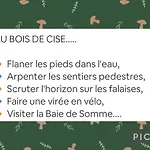 Le Cise Eau A Bois *