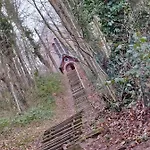 Le Cise Eau A Bois Le Bois de Cise