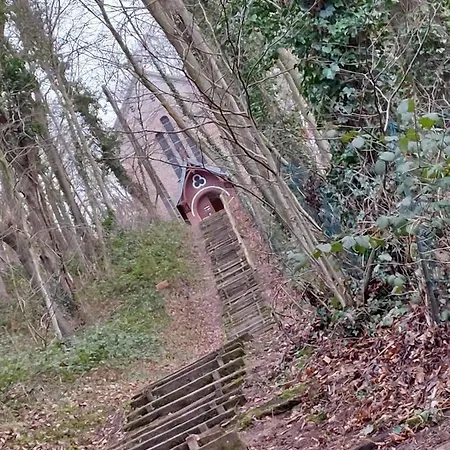 Le Cise Eau A Bois Le Bois de Cise